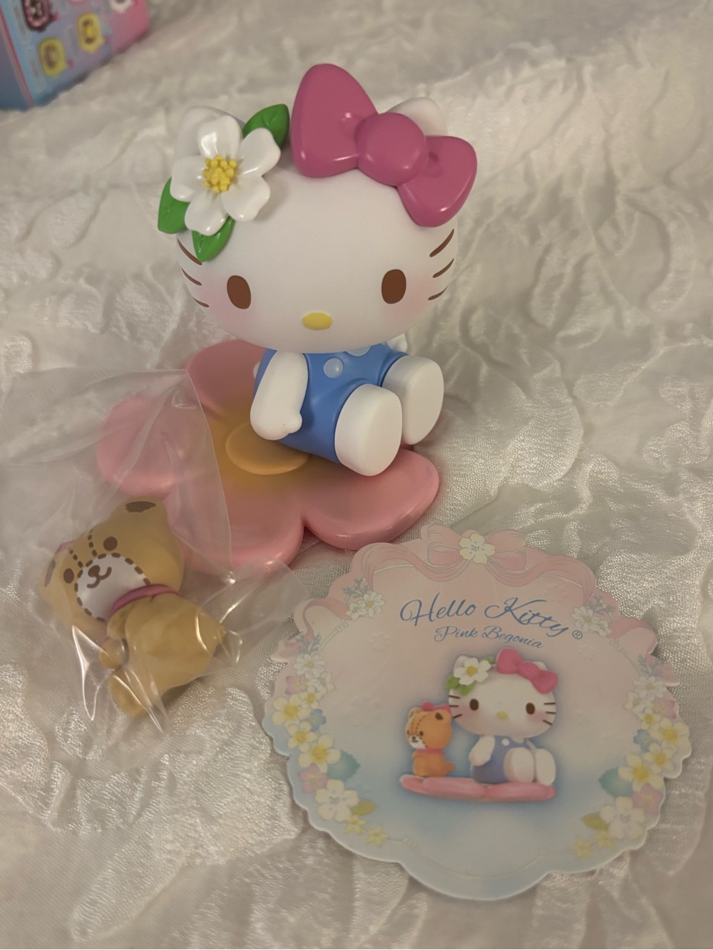 Sanrio hello Kitty pink begonia spring flower series